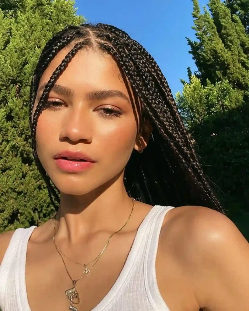 Zendaya Instagram Zendaya Instagram